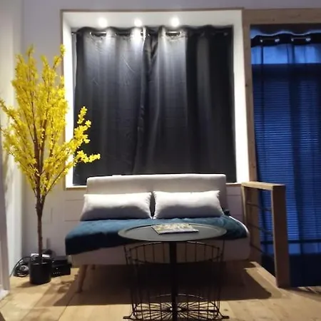 A 2 Pas De Naval Group Au Coeur D Rue Commercante שרבורג