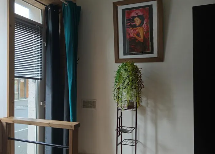 à 2 Pas De Naval Group Au Coeur D Rue Commerçante Appartement Cherbourg-en-Cotentin